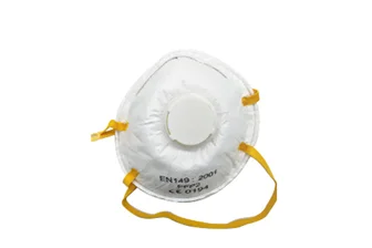 Face Masks FFP2 EN149 (Respirator) 1's