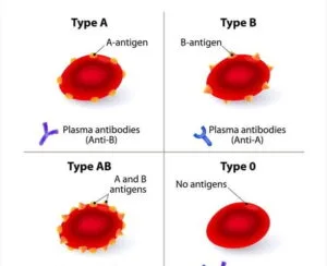 Blood group test