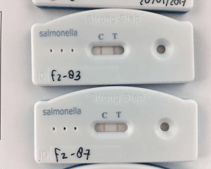 Salmonella Typhi Antigen Test