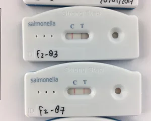 Salmonella Typhi Antigen Test