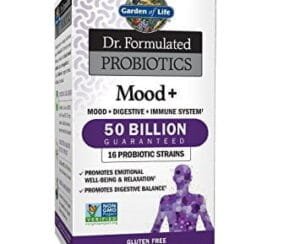 Garden Of Life Dr Formulated Probiotics Mood 50Bln 60 Caps