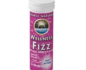 Source Naturals Wellness Fizz Berry 10 Wafers